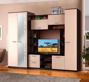 АЛЕКСАНДРА 10 Стенка в Урае - uray.ok-mebel.com | фото 2