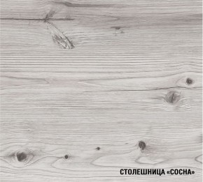 АСАЯ Кухонный гарнитур Экстра 2 (3000 мм) ПМ в Урае - uray.ok-mebel.com | фото 8