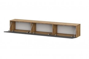 БАЙКАЛ Тумба (Графит/Дуб золотой) в Урае - uray.ok-mebel.com | фото 2