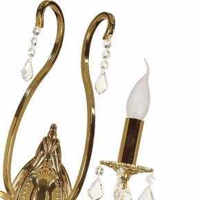 Бра Arti Lampadari Ercolano Ercolano E 2.1.2.602 G в Урае - uray.ok-mebel.com | фото 8