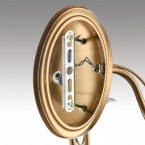 Бра Lumion INCANTO 8033/2W в Урае - uray.ok-mebel.com | фото 8