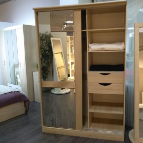 ДИАНА Д13 Шкаф-купе в Урае - uray.ok-mebel.com | фото 4