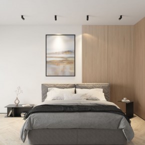 DK2029-BK Светильник накладной IP 20, 50 Вт, GU10, черный, алюминий в Урае - uray.ok-mebel.com | фото 4