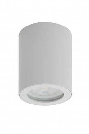 DK3007-WH Накладной светильник влагозащ., IP 44, 15 Вт, GU10, белый, алюминий в Урае - uray.ok-mebel.com | фото