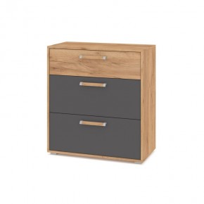 ФЛОРИДА Ф41 Комод (дуб золотой/графит) в Урае - uray.ok-mebel.com | фото