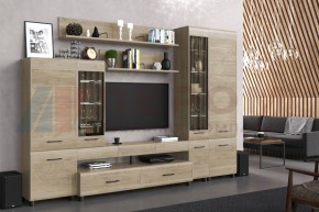Гостиная Камелия Композиция 2 (Гикори Джексон светлый) в Урае - uray.ok-mebel.com | фото
