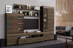 Гостиная Камелия Композиция 2 (Гикори Джексон темный) в Урае - uray.ok-mebel.com | фото