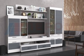 Гостиная Камелия Композиция 2 (Снежный ясень - серый) в Урае - uray.ok-mebel.com | фото