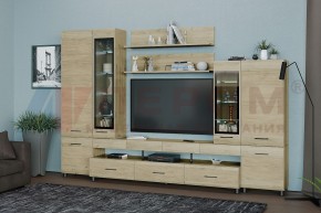 Гостиная Камелия Композиция 3 (Гикори Джексон светлый) в Урае - uray.ok-mebel.com | фото