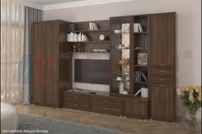 Гостиная Карина Композиция 11 (Акация Молдау) в Урае - uray.ok-mebel.com | фото