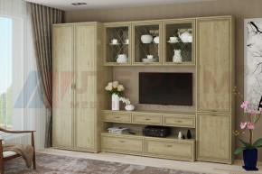 Гостиная Карина Композиция 23 (Гикори Джексон светлый) в Урае - uray.ok-mebel.com | фото