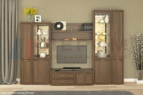 Гостиная Карина Композиция 24 (Акация Молдау) в Урае - uray.ok-mebel.com | фото