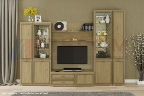 Гостиная Карина Композиция 24 (Гикори Джексон светлый) в Урае - uray.ok-mebel.com | фото