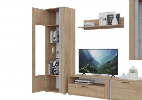 Гостиная Омега (Крафт золотой-Бетон) в Урае - uray.ok-mebel.com | фото 5