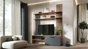 КАРОЛИНА Гостиная (дуб вотан/графит) в Урае - uray.ok-mebel.com | фото