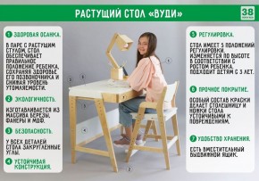 Комплект растущий стол и стул с чехлом 38 попугаев «Вуди» (Серый, Береза, Салют) в Урае - uray.ok-mebel.com | фото