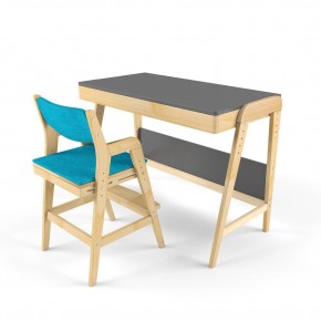 Комплект растущий стол и стул с чехлом 38 попугаев «Вуди» (Серый, Без покрытия, Лазурь) в Урае - uray.ok-mebel.com | фото