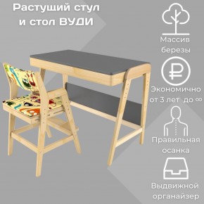 Комплект растущий стол и стул с чехлом 38 попугаев «Вуди» (Серый, Без покрытия, Монстры) в Урае - uray.ok-mebel.com | фото