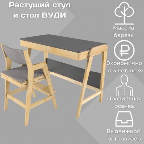 Комплект растущий стол и стул с чехлом 38 попугаев «Вуди» (Серый, Без покрытия, Серый) в Урае - uray.ok-mebel.com | фото