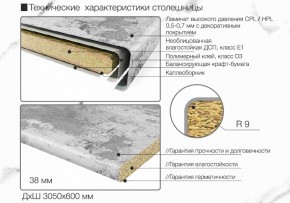 Кухонный фартук со столешницей (А-02) в едином стиле (3050 мм) в Урае - uray.ok-mebel.com | фото 6