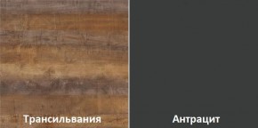 Кухонный гарнитур угловой Трансильвания 2600х1600 мм (Стол. 38 мм) в Урае - uray.ok-mebel.com | фото 3