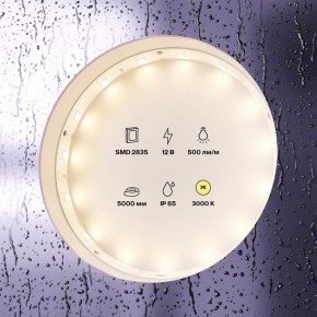 Лента светодиодная Maytoni Led strip 10105 в Урае - uray.ok-mebel.com | фото 2