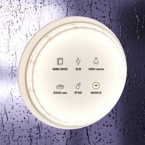 Лента светодиодная Maytoni Led strip 10118 в Урае - uray.ok-mebel.com | фото 2