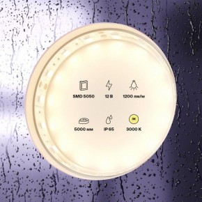 Лента светодиодная Maytoni Led strip 10131 в Урае - uray.ok-mebel.com | фото 2