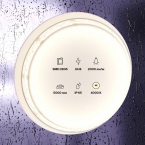 Лента светодиодная Maytoni Led strip 10158 в Урае - uray.ok-mebel.com | фото 2