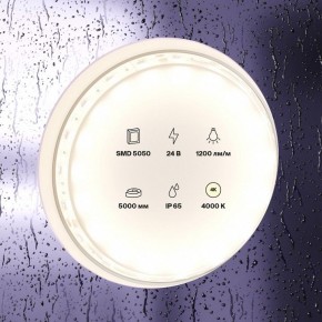 Лента светодиодная Maytoni Led strip 10172 в Урае - uray.ok-mebel.com | фото 2