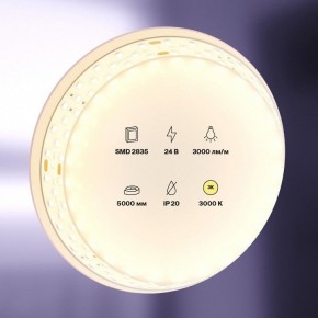 Лента светодиодная Maytoni Led strip 20031 в Урае - uray.ok-mebel.com | фото 2