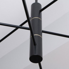 Люстра на штанге Favourite Imma 4375-6P в Урае - uray.ok-mebel.com | фото 2