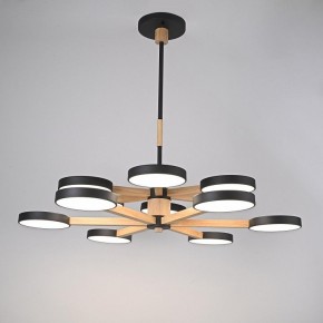 Люстра на штанге Imperiumloft TURNA Black TURNA-DBL01 в Урае - uray.ok-mebel.com | фото 2