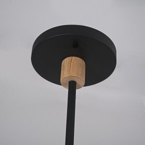Люстра на штанге Imperiumloft TURNA Black TURNA-DBL01 в Урае - uray.ok-mebel.com | фото 9