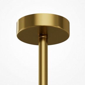 Люстра на штанге Maytoni Museo MOD436PL-07BS в Урае - uray.ok-mebel.com | фото 5