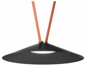 Накладной светильник Denkirs Belty Flow DK5568-BK в Урае - uray.ok-mebel.com | фото 2