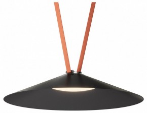 Накладной светильник Denkirs Belty Flow DK5569-BK в Урае - uray.ok-mebel.com | фото 2