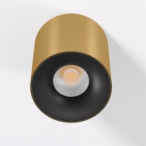 Накладной светильник Elektrostandard Primo 25116/LED в Урае - uray.ok-mebel.com | фото 2