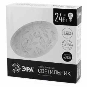 Накладной светильник Эра Классик SPB-6-24-4K (C) в Урае - uray.ok-mebel.com | фото 4