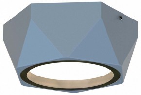 Накладной светильник Favourite Fantum 4669-1U в Урае - uray.ok-mebel.com | фото