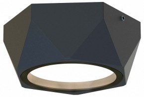 Накладной светильник Favourite Fantum 4670-1U в Урае - uray.ok-mebel.com | фото