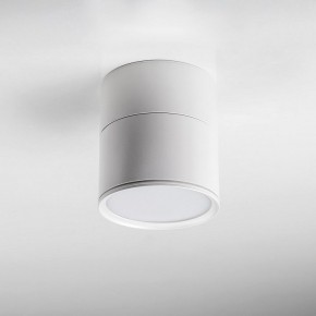 Накладной светильник Lightstar Acuto 215886 в Урае - uray.ok-mebel.com | фото 3