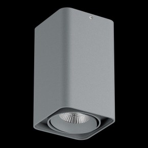 Накладной светильник Lightstar Monocco 052139-IP65 в Урае - uray.ok-mebel.com | фото 2