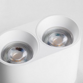 Накладной светильник Lightstar Rullo 213466 в Урае - uray.ok-mebel.com | фото 6