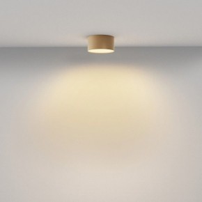 Накладной светильник Maytoni Zon C032CL-12W2.7K-RD-MG в Урае - uray.ok-mebel.com | фото 4