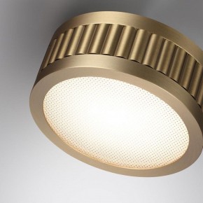 Накладной светильник Odeon Light Manchester 7013/7CL в Урае - uray.ok-mebel.com | фото 5