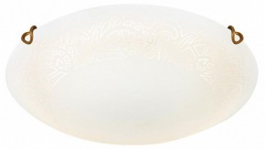 Накладной светильник Sonex Ammonite 7602/DL в Урае - uray.ok-mebel.com | фото 3
