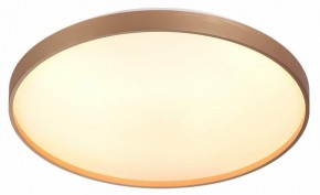 Накладной светильник Sonex Gaby 7783/EL в Урае - uray.ok-mebel.com | фото 5