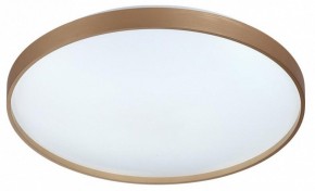 Накладной светильник Sonex Gaby 7783/EL в Урае - uray.ok-mebel.com | фото 6