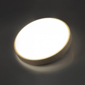 Накладной светильник Sonex Losta 7607/CL в Урае - uray.ok-mebel.com | фото 3